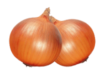 Výsledek obrázku pro cibule png
